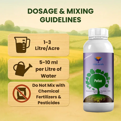 Potassium Solubilizing Bacteria - KSB, Liquid Bio Fertilizer for Plants Growth, Enhances Water Retention and Size, Colour, Quality & Yield of Fruits, Crops | Potaz - 20 Litre - Utkarsh Agrochem Pvt ltd. 