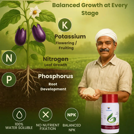 Prime All - Amino Acid Chelated Mix - Nitrogen, Phosphorus, Potassium (100 % Water Soluble Chemical for Foliar Spray) - Utkarsh Agrochem Pvt ltd. 