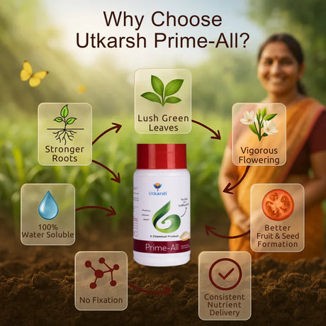 Prime All - Amino Acid Chelated Mix - Nitrogen, Phosphorus, Potassium (100 % Water Soluble Chemical for Foliar Spray) - Utkarsh Agrochem Pvt ltd. 