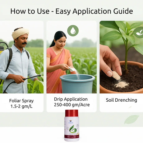 Prime All - Amino Acid Chelated Mix - Nitrogen, Phosphorus, Potassium (100 % Water Soluble Chemical for Foliar Spray) - Utkarsh Agrochem Pvt ltd. 