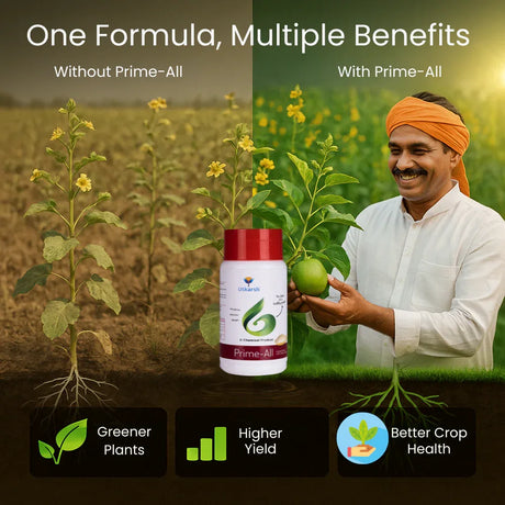 Prime All - Amino Acid Chelated Mix - Nitrogen, Phosphorus, Potassium (100 % Water Soluble Chemical for Foliar Spray) - Utkarsh Agrochem Pvt ltd. 