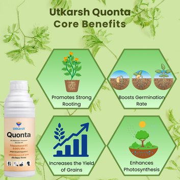 Quonta (Triacontanol 0.05% EC) | Plant Growth Regulator