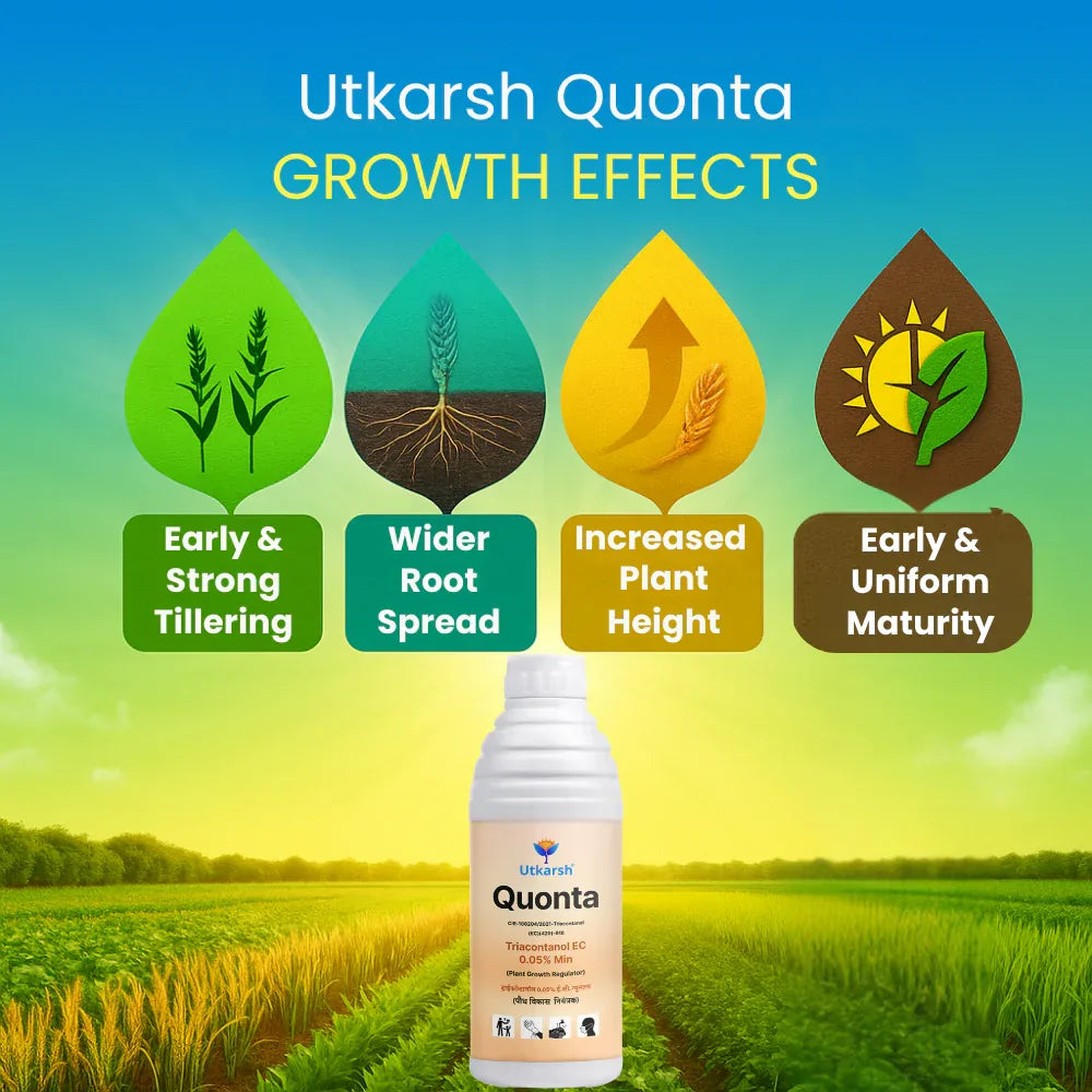 Quonta (Triacontanol 0.05% EC) | Plant Growth Regulator - Utkarsh Agrochem Pvt ltd. 