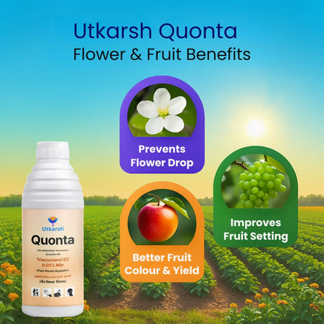 Quonta (Triacontanol 0.05% EC) | Plant Growth Regulator - Utkarsh Agrochem Pvt ltd. 