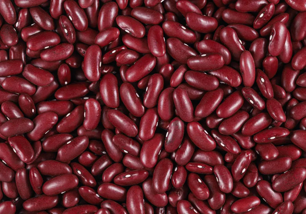 Rajma Farming Schedule Utkarsh