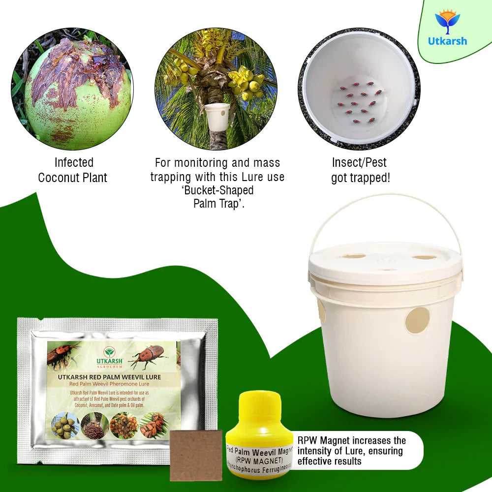 Red Palm Weevil Lure with RPW Magnet & Bucket Trap - Utkarsh Agrochem Pvt ltd. 