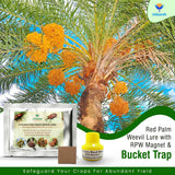 Red Palm Weevil Lure with RPW Magnet & Bucket Trap - Utkarsh Agrochem Pvt ltd. 