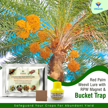 Red Palm Weevil Lure with RPW Magnet & Bucket Trap