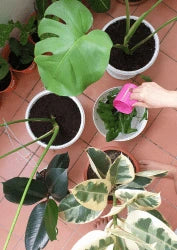 Repotting Quantities By Volume