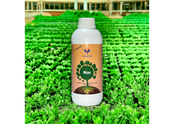 Rhizoz (Rhizobium Nitrogen Fixing Bacteria) Bio Fertilizer for Improved Nitrogen Availability to Plants, Increase Organic Matter in Soil, Rapid Plant Growth