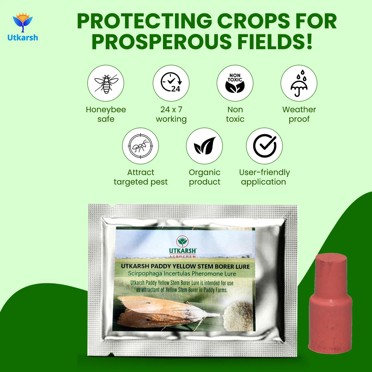 Rice Yellow Stem Borer YSB Lure - Utkarsh Agrochem Pvt ltd. 