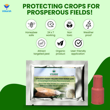Rice Yellow Stem Borer YSB Lure - Utkarsh Agrochem Pvt ltd. 