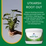 RootOut infographic for root development and plant health