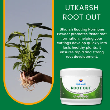 Root Out - Rooting Hormone Powder | Enhances Root Formation of Plant Cuttings | Fast Root Growth Booster | Rooting Powder for Propagation, Grafting, Cloning & Transplant Success