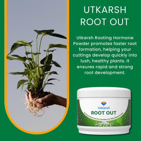 RootOut infographic for root development and plant health
