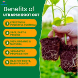 Root Out - Rooting Hormone Powder | Enhances Root Formation of Plant Cuttings | Fast Root Growth Booster | Rooting Powder for Propagation, Grafting, Cloning & Transplant Success