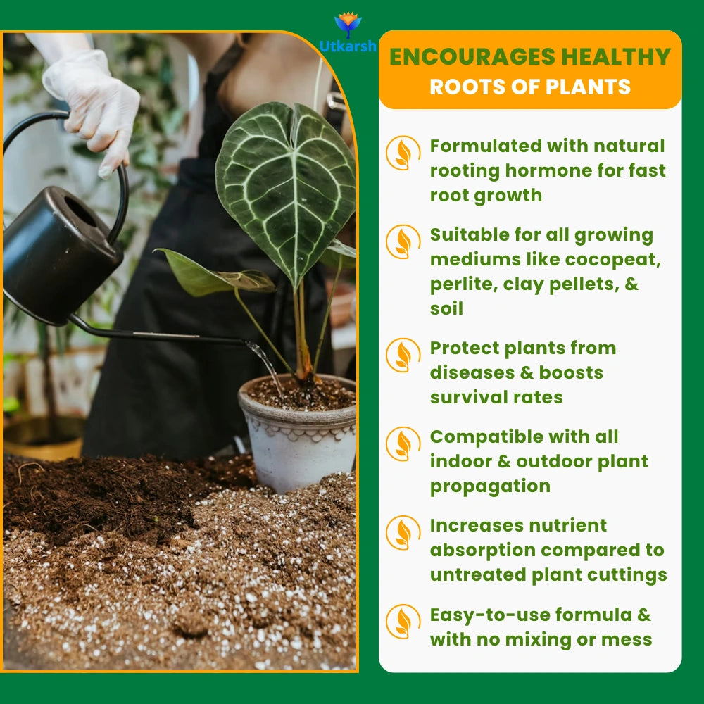 Root Out - Rooting Hormone Powder | Enhances Root Formation of Plant Cuttings | Fast Root Growth Booster | Rooting Powder for Propagation, Grafting, Cloning & Transplant Success
