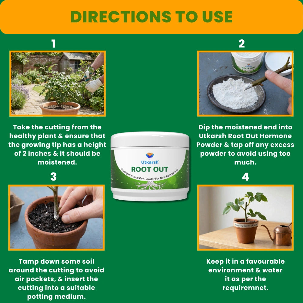 Root Out - Rooting Hormone Powder | Enhances Root Formation of Plant Cuttings | Fast Root Growth Booster | Rooting Powder for Propagation, Grafting, Cloning & Transplant Success
