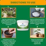 Root Out - Rooting Hormone Powder | Enhances Root Formation of Plant Cuttings | Fast Root Growth Booster | Rooting Powder for Propagation, Grafting, Cloning & Transplant Success