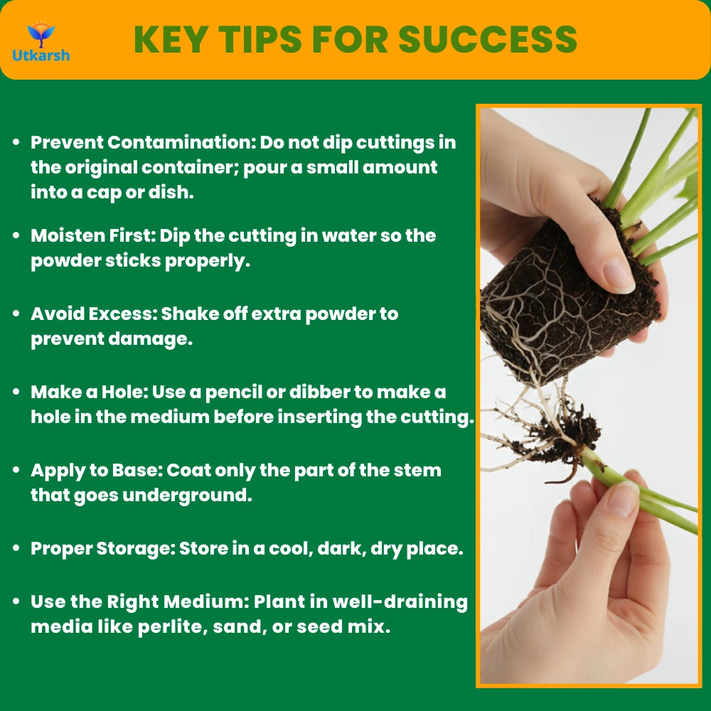 Root Out - Rooting Hormone Powder | Enhances Root Formation of Plant Cuttings | Fast Root Growth Booster | Rooting Powder for Propagation, Grafting, Cloning & Transplant Success