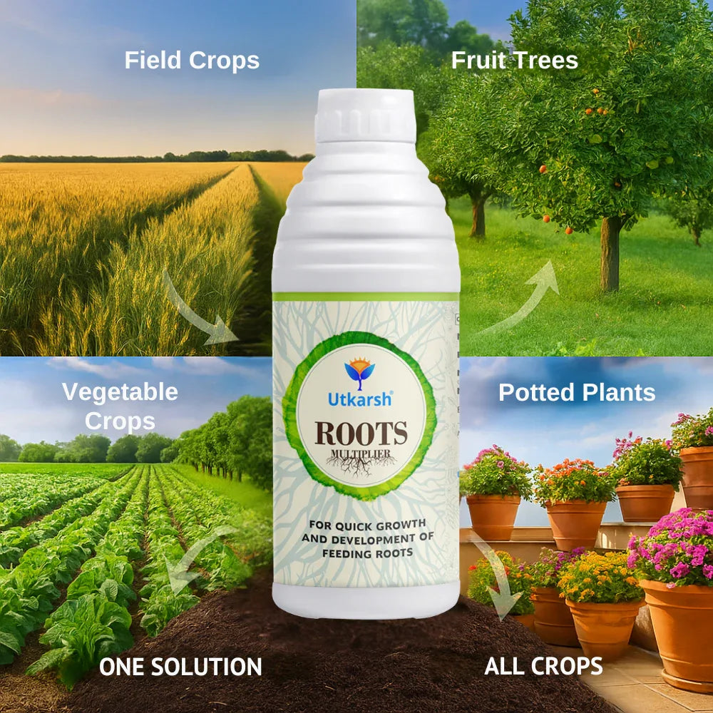 Quick Roots Roots Multiplier (For Quick Hairy Roots Formation) Plant Food for Heal