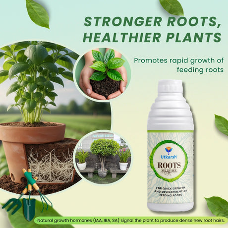 Roots Multiplier infographic showing plant growth benefits
