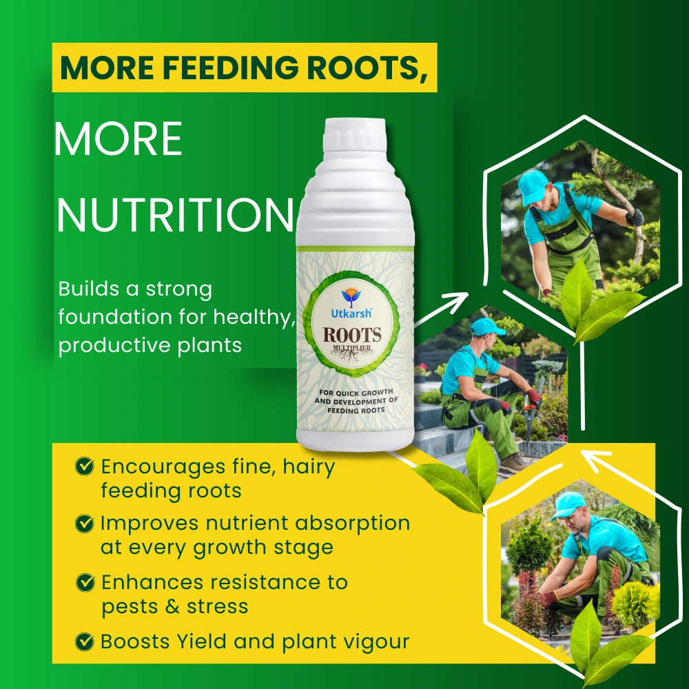 Roots Multiplier Plant Food | Hairy Root Booster for Plants | Enhances Root Growth, Nutrient Uptake & Plant Health