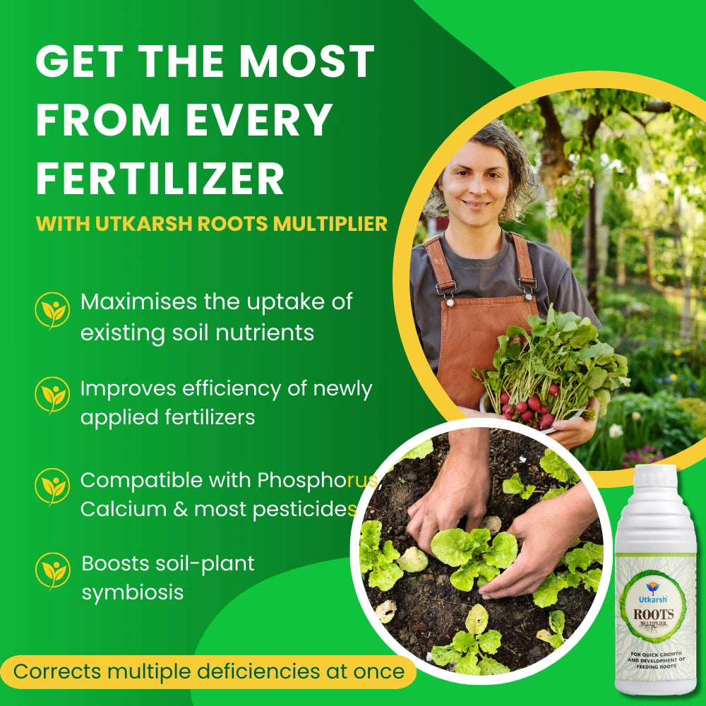 Roots Multiplier Plant Food | Hairy Root Booster for Plants | Enhances Root Growth, Nutrient Uptake & Plant Health