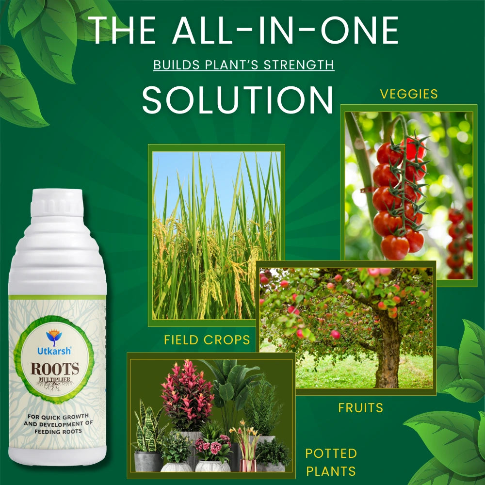 Roots Multiplier Plant Food | Hairy Root Booster for Plants | Enhances Root Growth, Nutrient Uptake & Plant Health