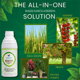 Roots Multiplier Plant Food | Hairy Root Booster for Plants | Enhances Root Growth, Nutrient Uptake & Plant Health