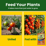 SOP 00 00 50 - Potassium Sulphate for Plants Growth, 100% Water Soluble Powder, Foliar Spray Nutrition | NPK Fertilizers for Home Garden & Crops - 25 Kg Bag - Utkarsh Agrochem Pvt ltd. 