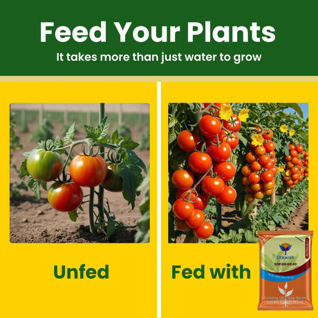 SOP 00 00 50 - Potassium Sulphate for Plants Growth, 100% Water Soluble Powder, Foliar Spray Nutrition | NPK Fertilizers for Home Garden & Crops - 25 Kg Bag - Utkarsh Agrochem Pvt ltd. 