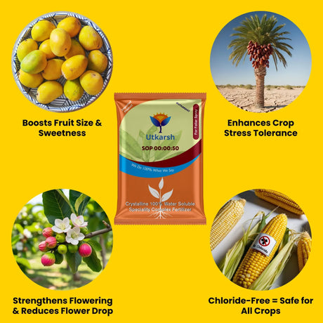 SOP 00 00 50 - Potassium Sulphate for Plants Growth, 100% Water Soluble Powder, Foliar Spray Nutrition | NPK Fertilizers for Home Garden & Crops - 25 Kg Bag - Utkarsh Agrochem Pvt ltd. 