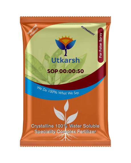 SOP 00-00-50 potassium fertilizer for better flowering and fruiting
