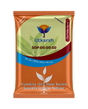 SOP 00 00 50 - Potassium Sulphate for Plants Growth, 100% Water Soluble Powder, Foliar Spray Nutrition | NPK Fertilizers for Home Garden & Crops - Utkarsh Agrochem Pvt ltd. 
