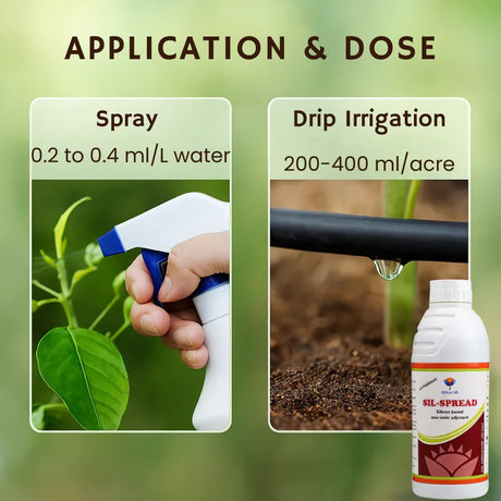 Sil-Spread | Silicon Based Non-Ionic Adjuvant, Sticker, Activator, Spreader - 20 Liter - Utkarsh Agrochem Pvt ltd. 