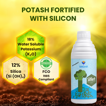Potash Fortified with Silicon, Enhances Silica Absorption in Plants, Growth Boost for Yields, Vegetables, Improves Fruit Quality & Develops White Root | Silfert
