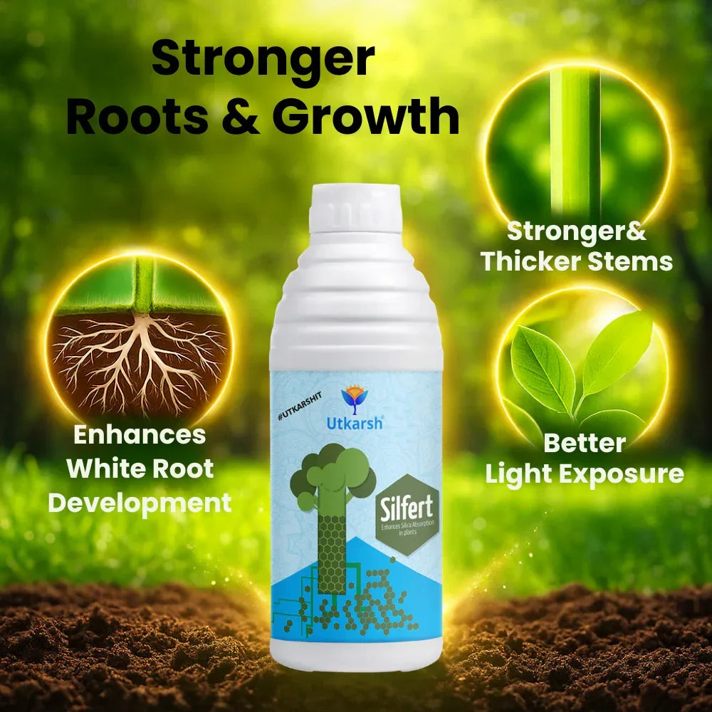 Potash Fortified with Silicon, Enhances Silica Absorption in Plants, Growth Boost for Yields, Vegetables, Improves Fruit Quality & Develops White Root | Silfert - 20 Litre - Utkarsh Agrochem Pvt ltd. 