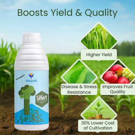 Potash Fortified with Silicon, Enhances Silica Absorption in Plants, Growth Boost for Yields, Vegetables, Improves Fruit Quality & Develops White Root | Silfert - 20 Litre - Utkarsh Agrochem Pvt ltd. 