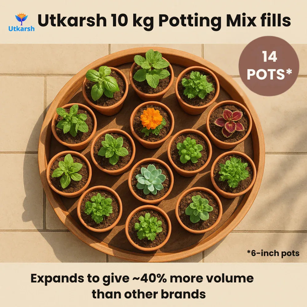 10Kg Soil Less 4 in 1 Potting Mixture - Cocopeat, Exfoliated Vermiculite, Neem Khad, Organic Plant Food | Pot Mix for Home Gardening or Terrace Garden - Utkarsh Agrochem Pvt ltd. 