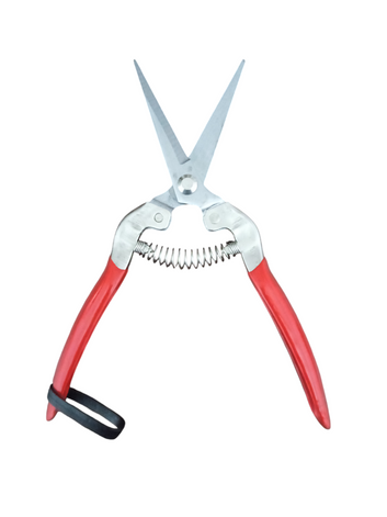 Bonsai Clipper Shear Scissors- 1 Pc