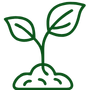 Stem Plants
