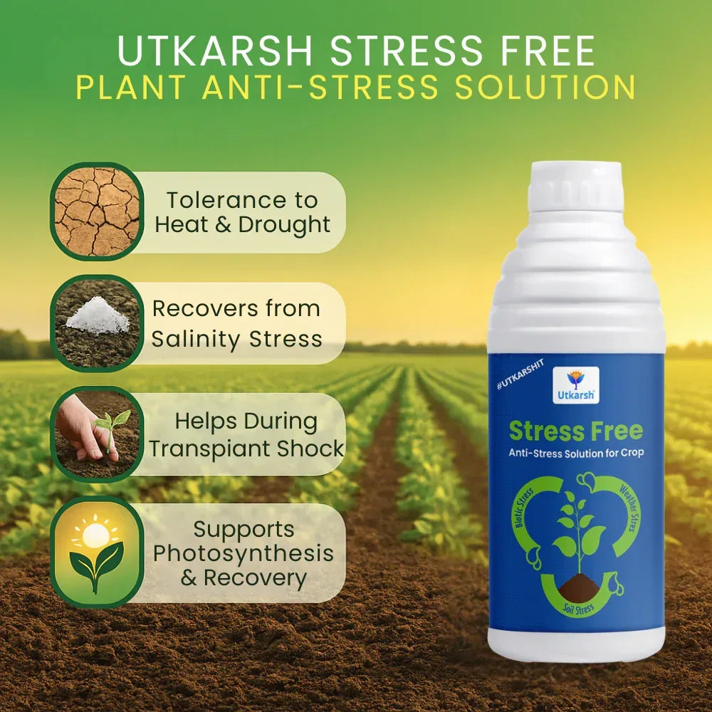 Stress Free (Anti-stress Solution for Crops) Biostimulant - 20 Litre - Utkarsh Agrochem Pvt ltd. 