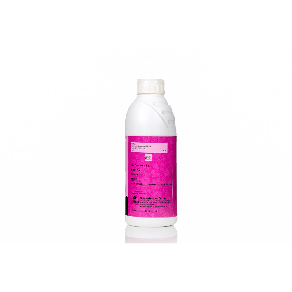 Pseudomonas Fluorescens Liquid, 2.0% W.P. CFU Count: 1 x 10^8 /ml min. for Plants, Crops and Home Gardening - Sudoz-L, BioFungiocides