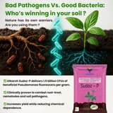 Pseudomonas Fluorescens 1.0% W.P. CFU Count: 1 x 10^8 / gm. min. Bio Fungicides for Plants, Crops and Home Gardening - Sudoz-P - Utkarsh Agrochem Pvt ltd. 