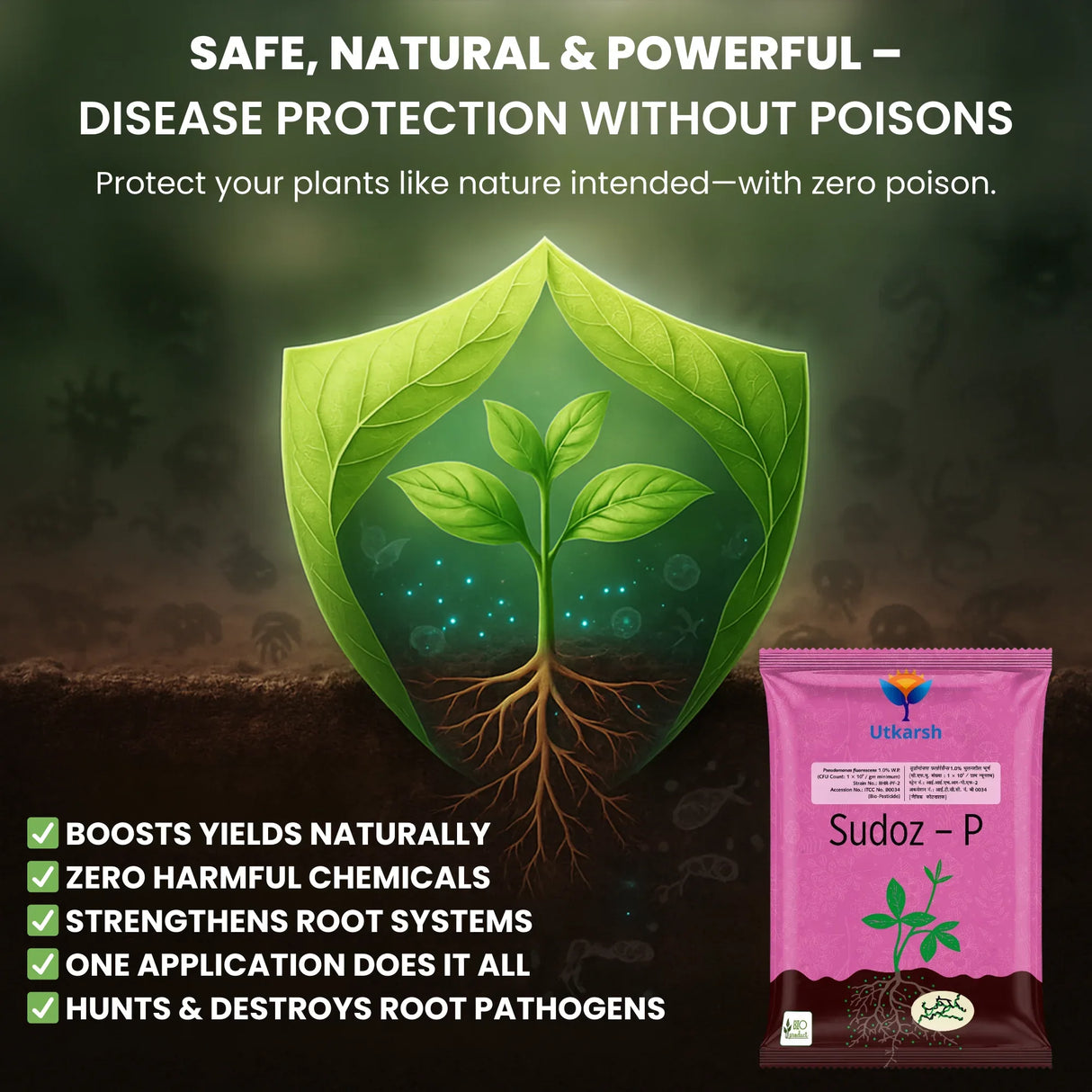 Pseudomonas Fluorescens 1.0% W.P. CFU Count: 1 x 10^8 / gm. min. Bio Fungicides for Plants, Crops and Home Gardening - Sudoz-P - Utkarsh Agrochem Pvt ltd. 