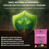 Pseudomonas Fluorescens 1.0% W.P. CFU Count: 1 x 10^8 / gm. min. Bio Fungicides for Plants, Crops and Home Gardening - Sudoz-P - Utkarsh Agrochem Pvt ltd. 