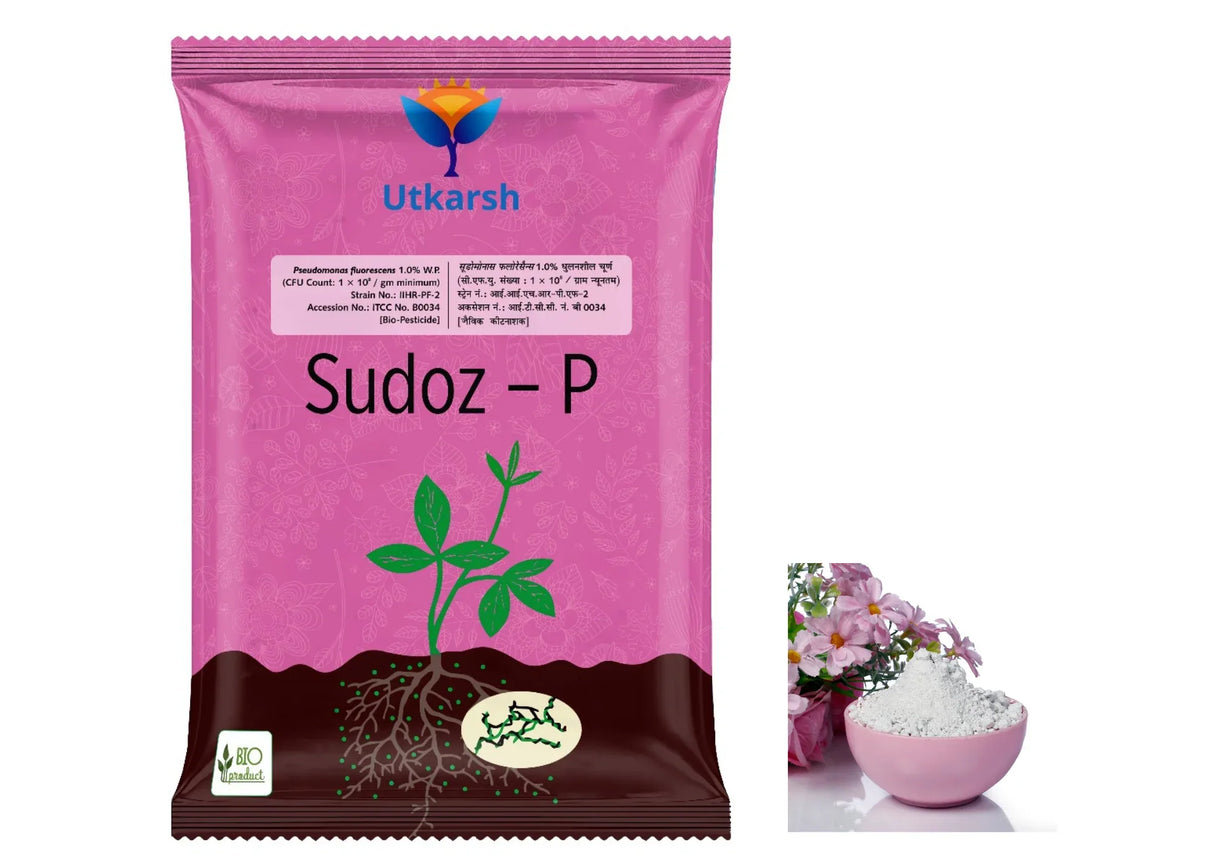 Pseudomonas Fluorescens 1.0% W.P. CFU Count: 1 x 10^8 / gm. min. Bio Fungicides for Plants, Crops and Home Gardening - Sudoz-P - Utkarsh Agrochem Pvt ltd. 