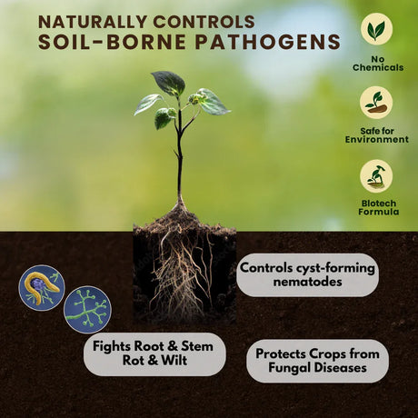 Trichoderma Harzianum 1% WP 2 x 10^6 CFU/gm min. Bio Fungicides for Plants, Crops and Home Gardening - Trichoherz-P - Utkarsh Agrochem Pvt ltd. 
