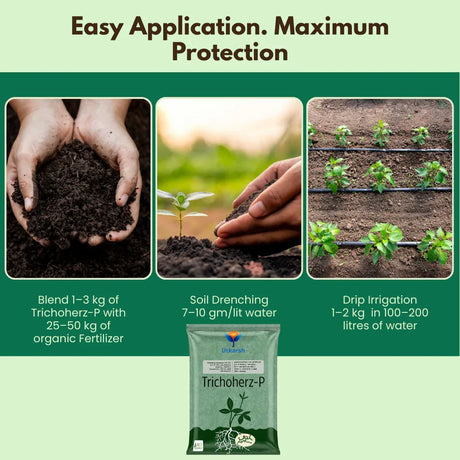 Trichoderma Harzianum 1% WP 2 x 10^6 CFU/gm min. Bio Fungicides for Plants, Crops and Home Gardening - Trichoherz-P - Utkarsh Agrochem Pvt ltd. 
